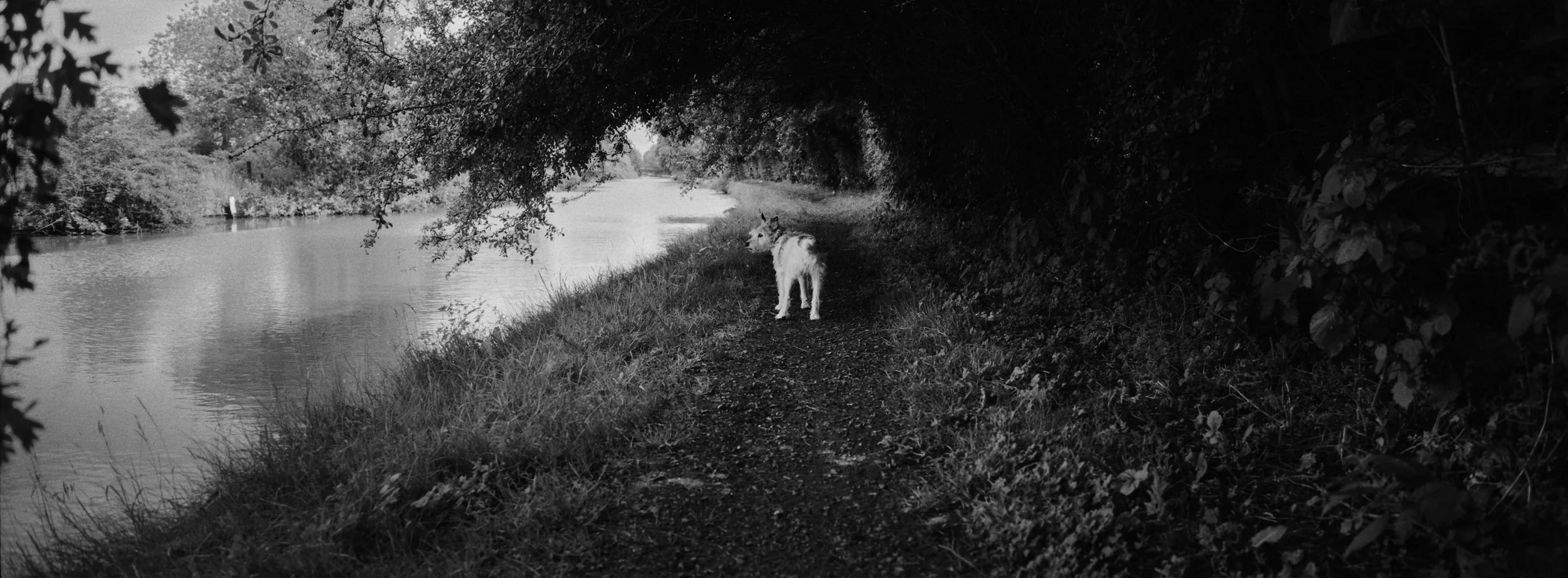 HP5 +1