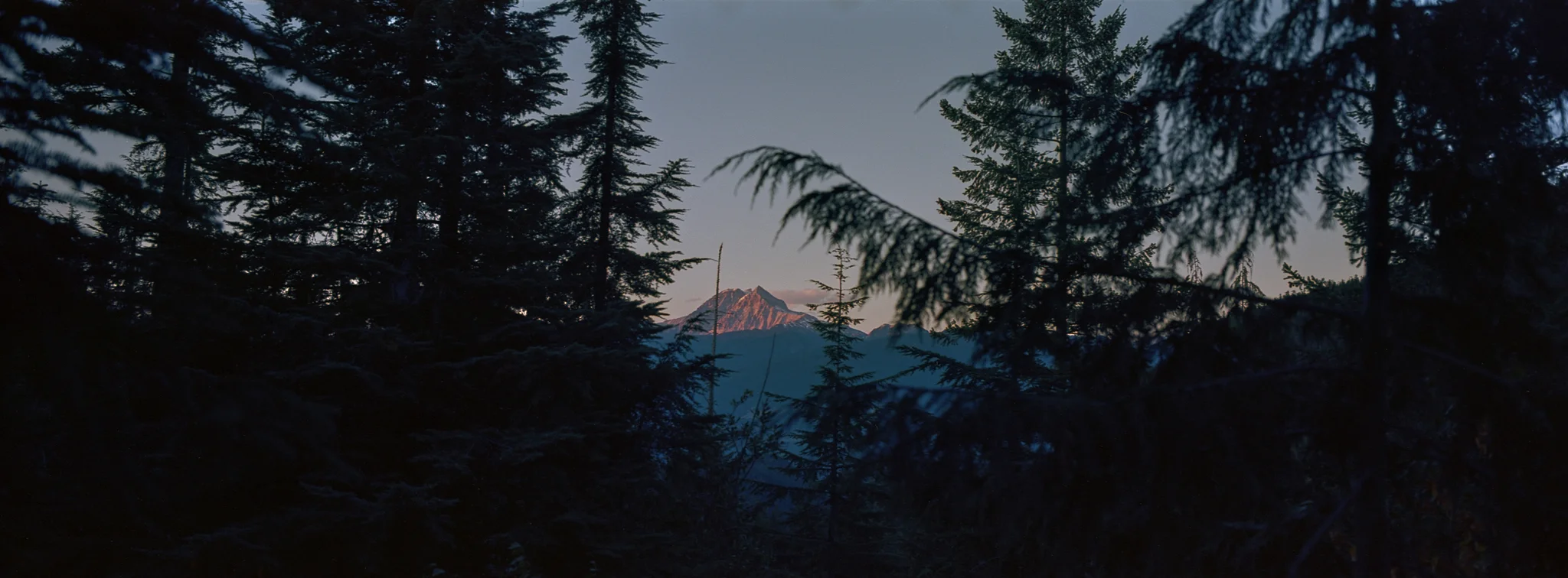 Ektar 100