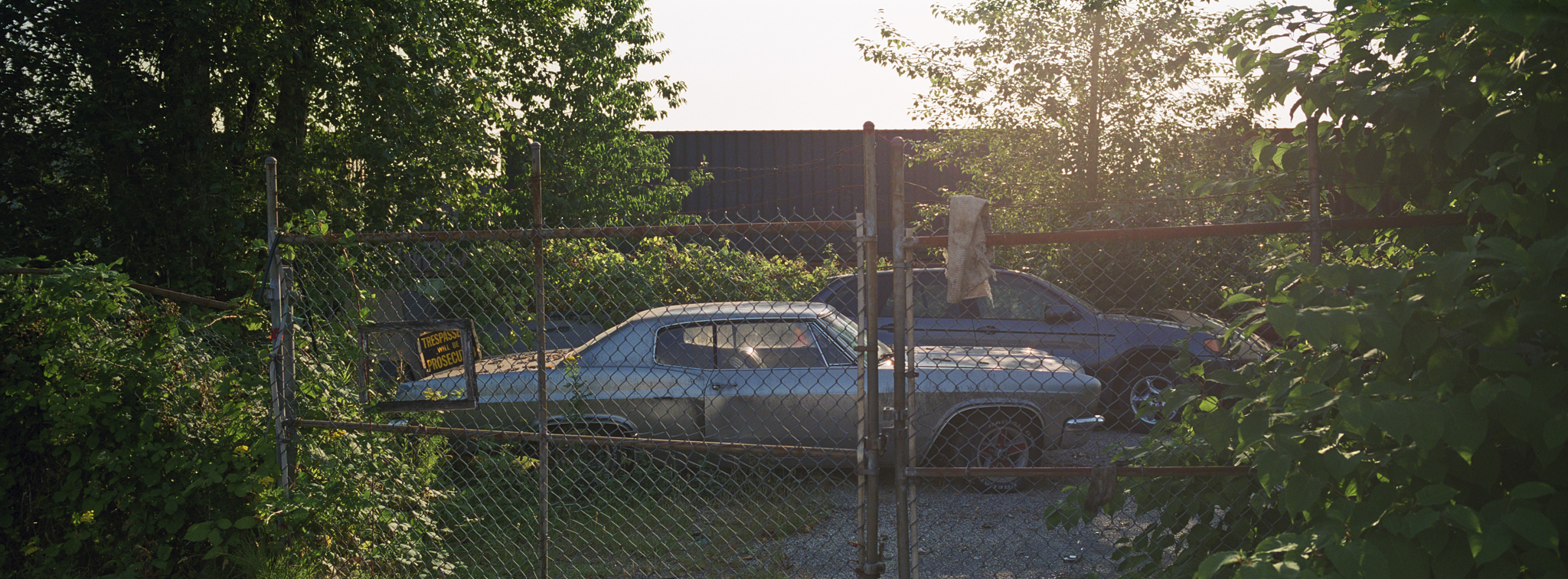 20180727xpan_fuji400h_017 1.jpg