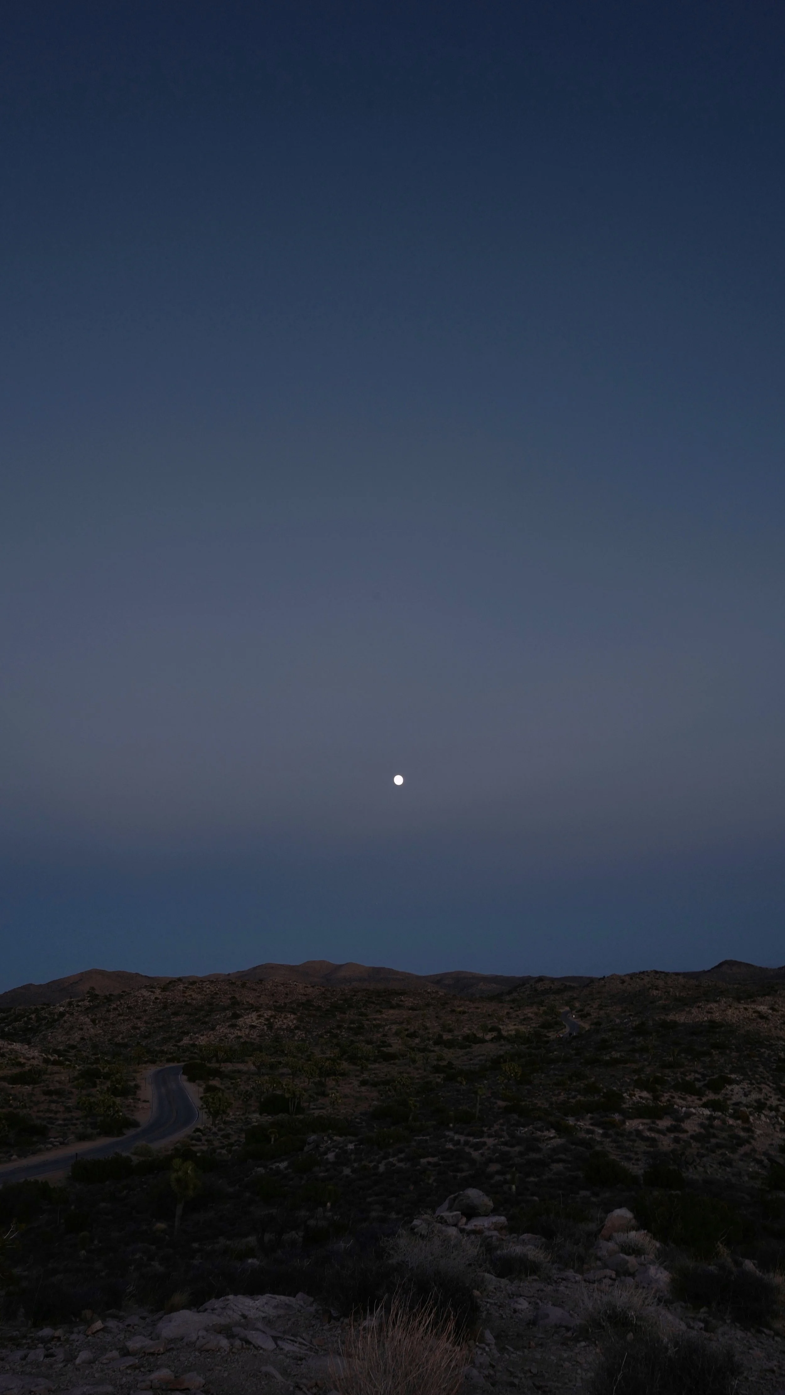 IMG_7387_polarr.JPEG