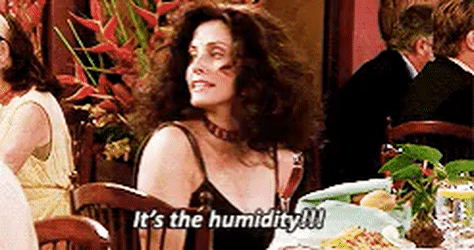 monica humidity.gif