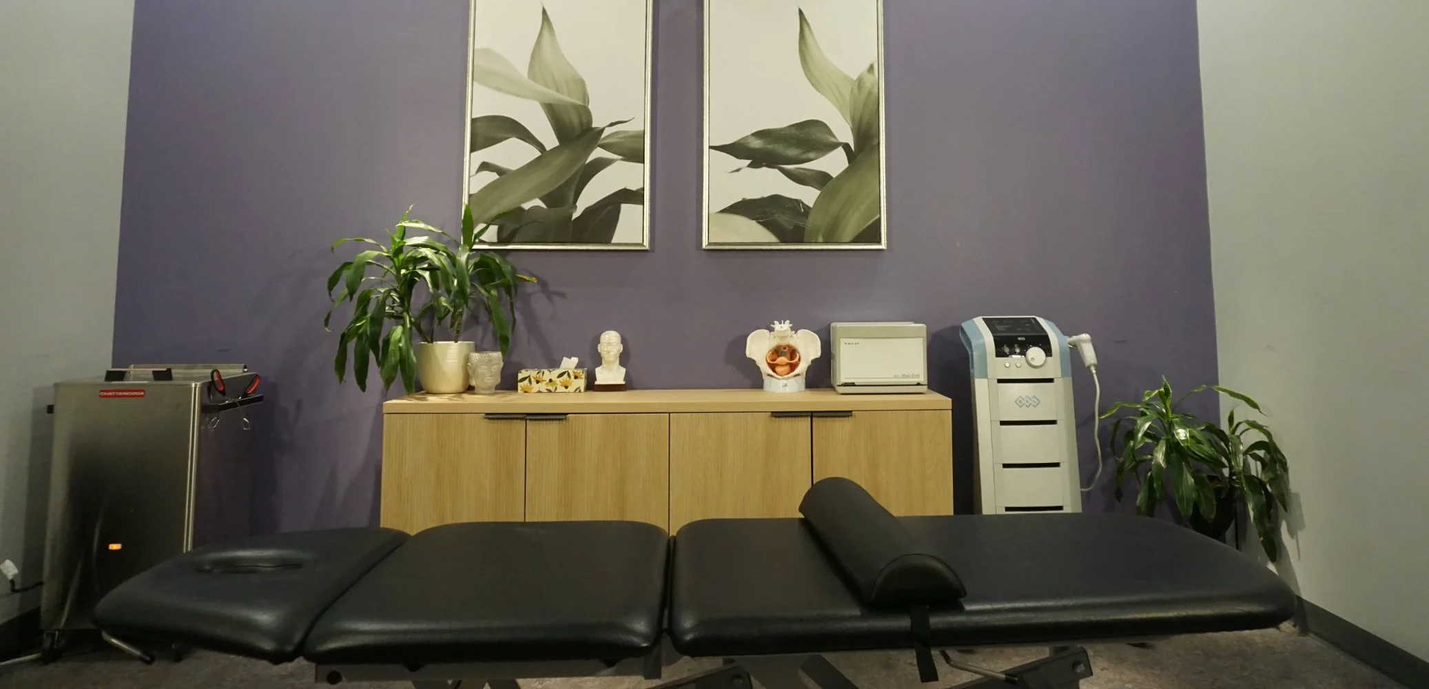 Pelvic Health Physiotherapy