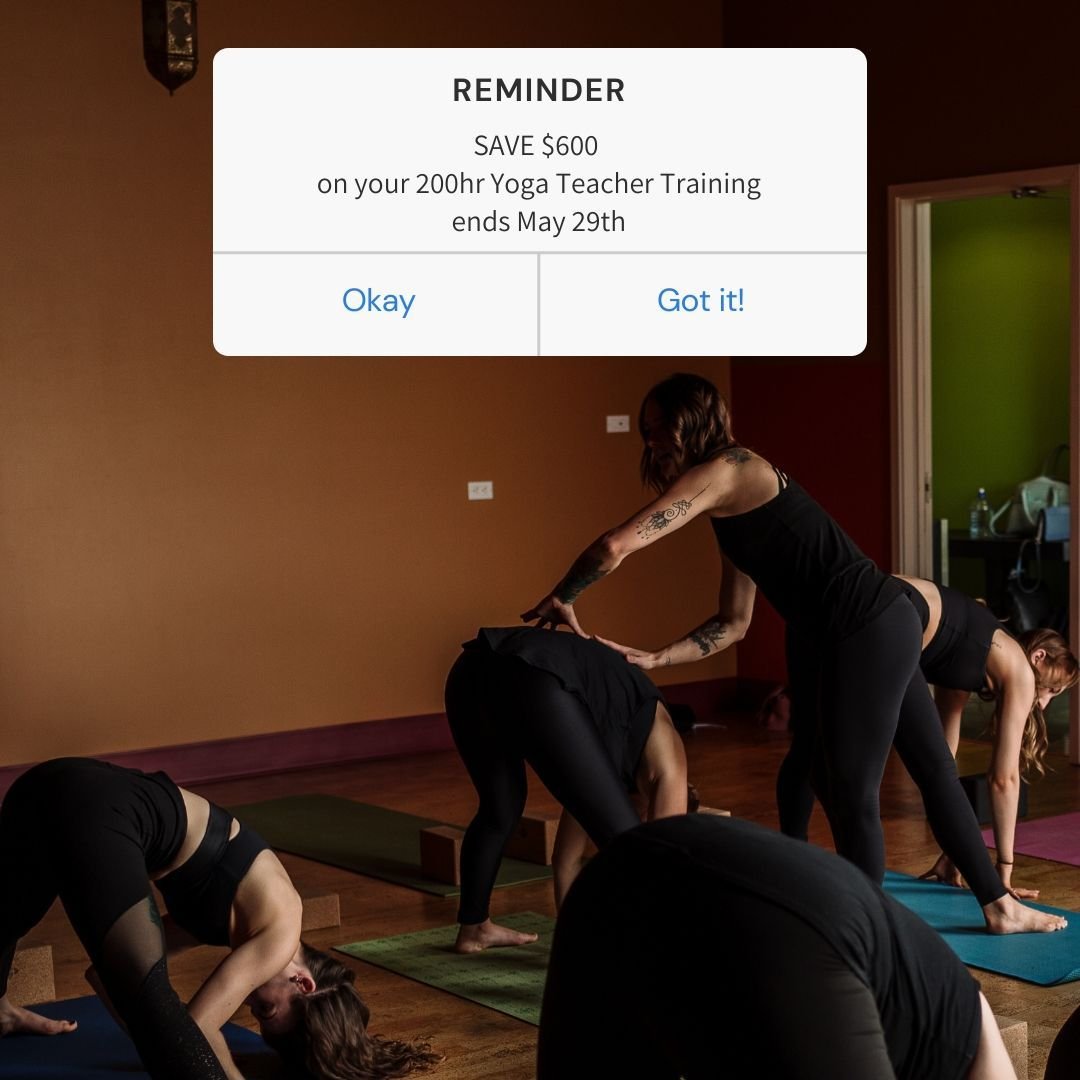 Just two weeks left to save $600 on our Summer 200hr Yoga Teacher Training Program!
.
Register now and get your deposit down to lock in your savings 🧘🏻&zwj;♀️🧘🏻&zwj;♂️
.
.
.
.
.
.
#yoga #healing #higherself #personalgrowth #personalhealing #yogah