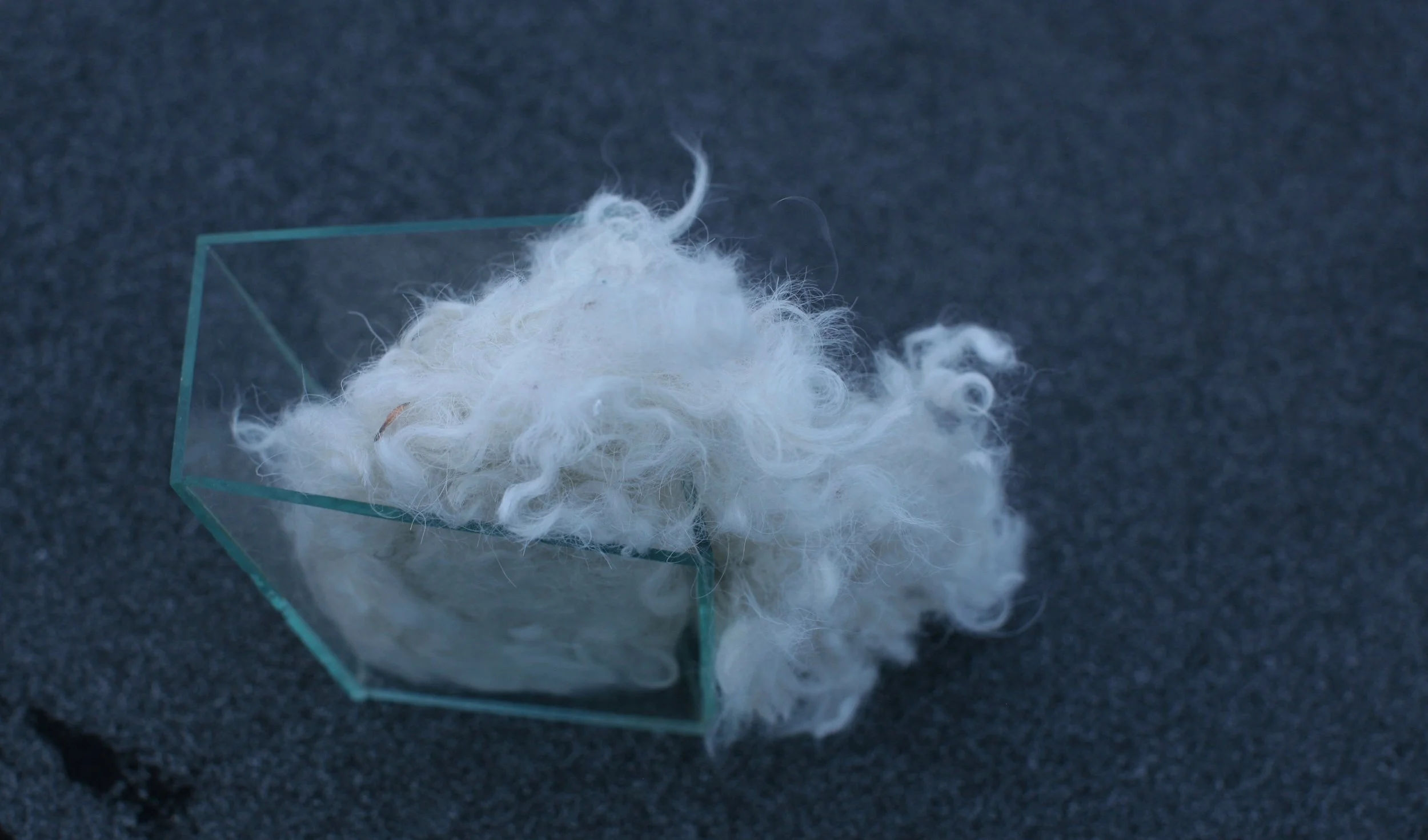 Glass, hair, love, 2016