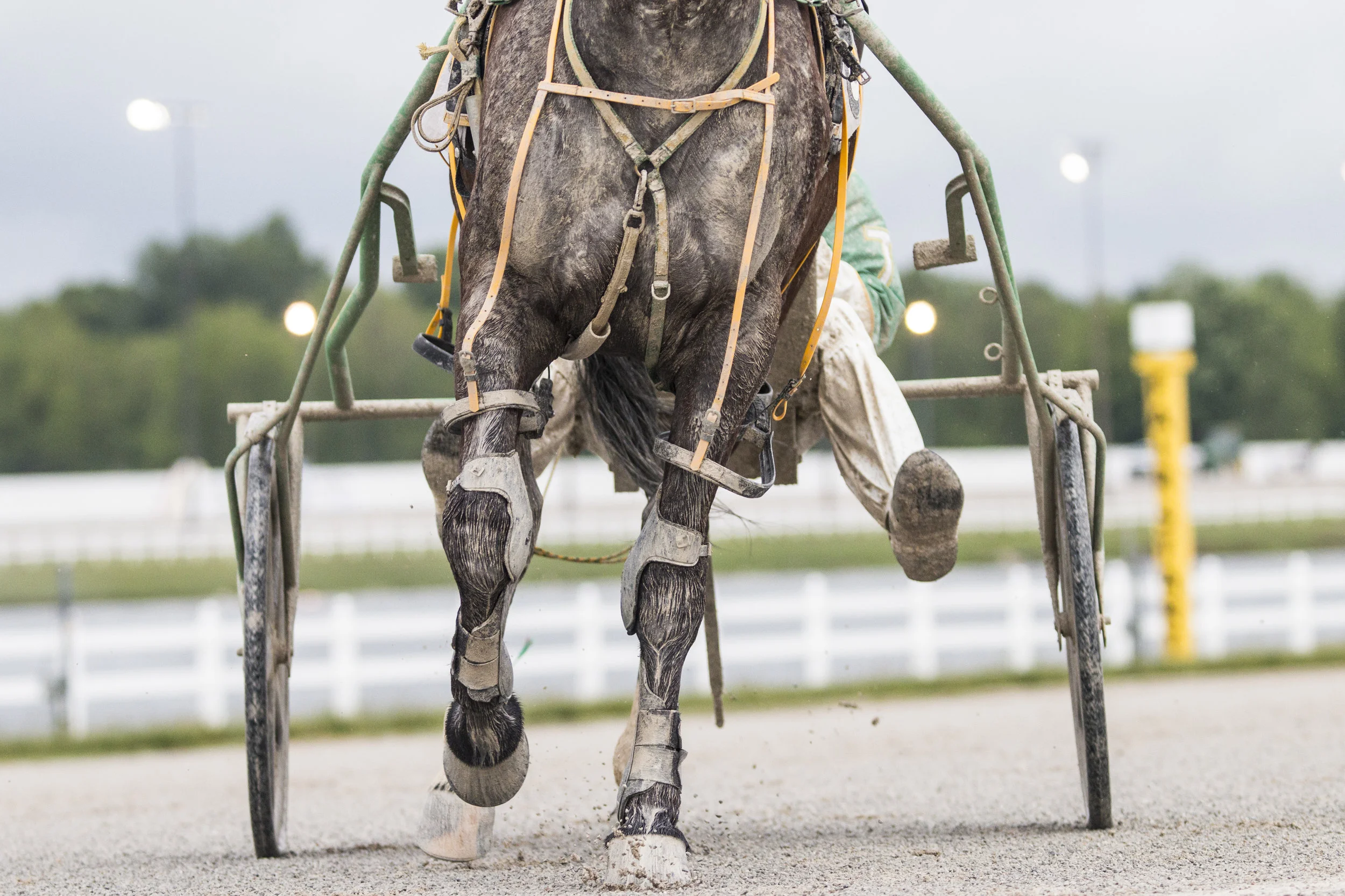  Driver's and horses brave the harsh weather during the spring season. A Harness racing horses exit the a sloppy track on a Tuesday night of racing at Hoosier Park Racing and Casino in Anderson, IN, May 23. Grace Hollars // Hoosier Park Racing and Ca