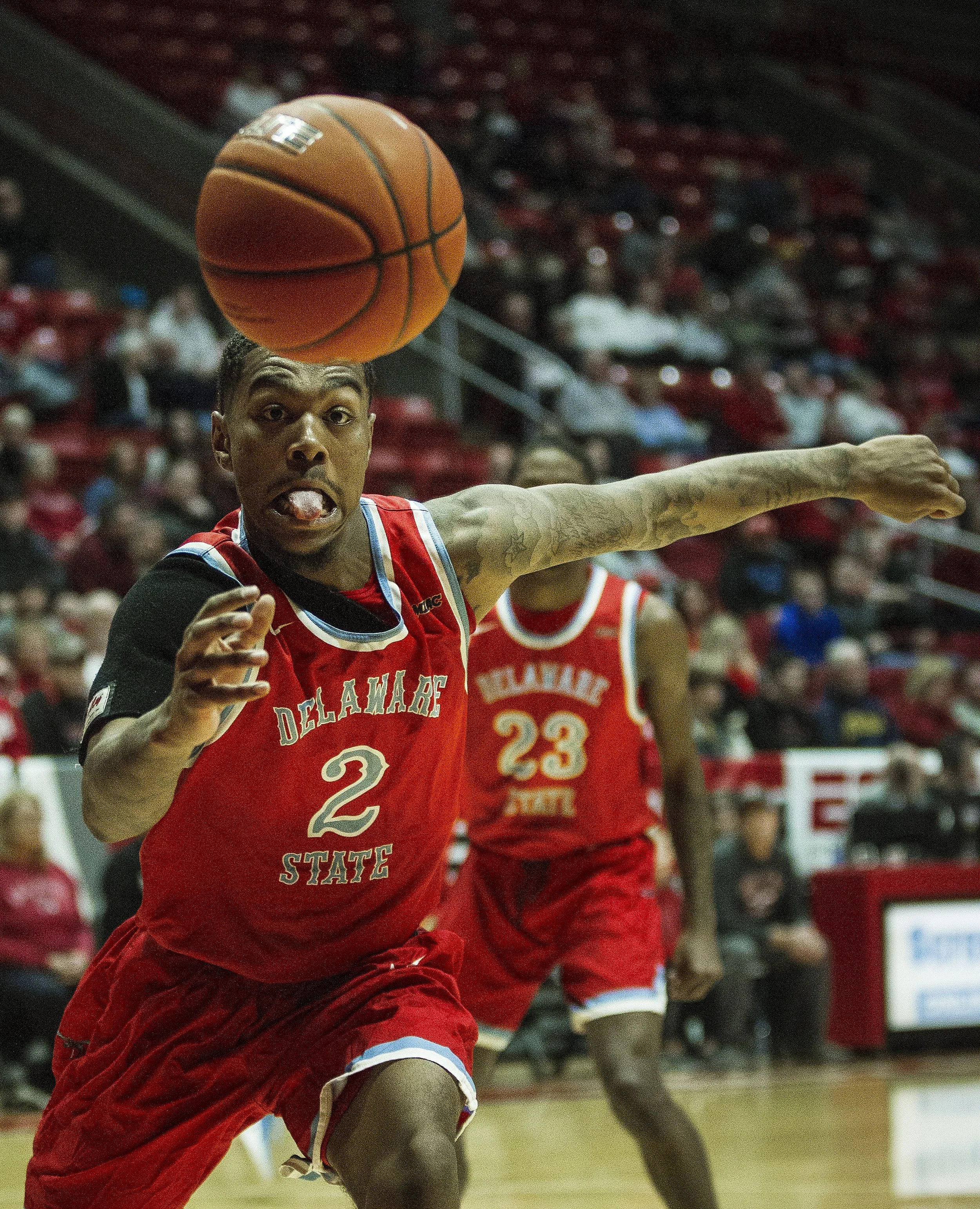  Delaware State guard Kevin Larkin reaches for the ball, Dec. 29, at Worthen Arena.  Photos for Ball State Photo Services, Marketing and Communications  