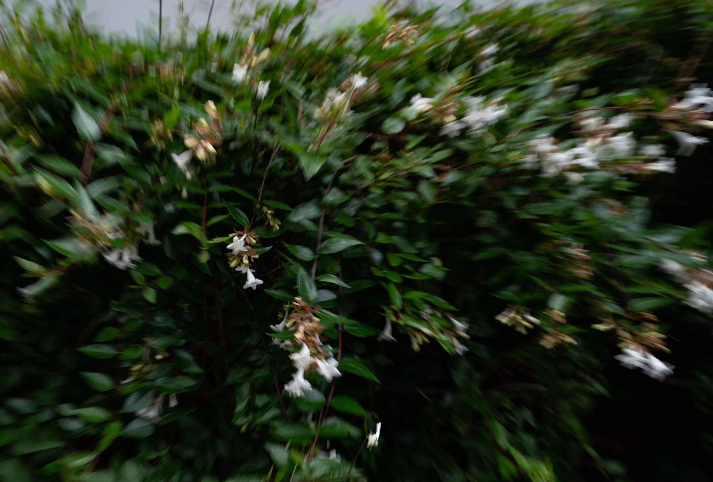 Tokyo_07222021_GH_7.jpg