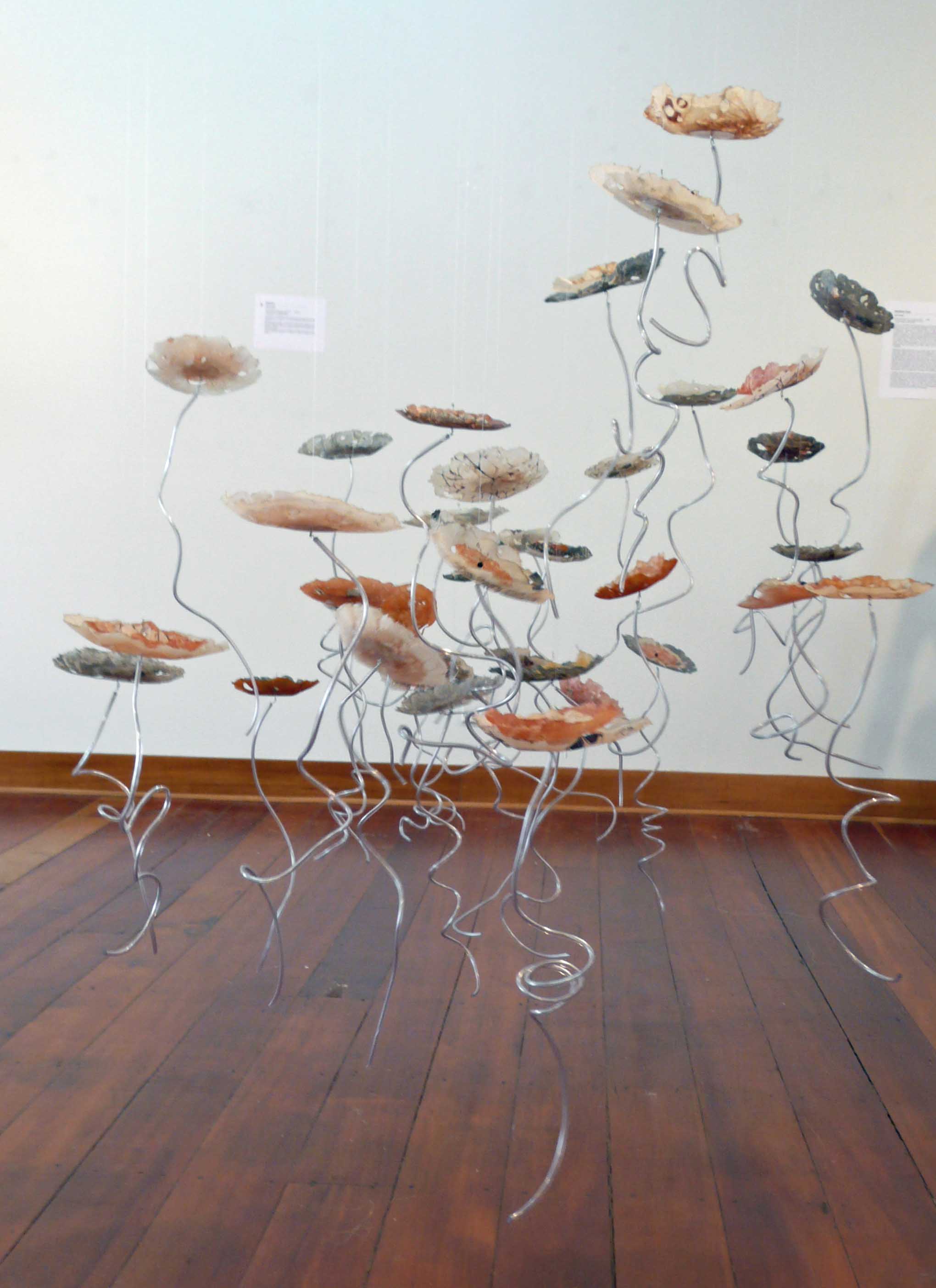 wax-flowers2.jpg