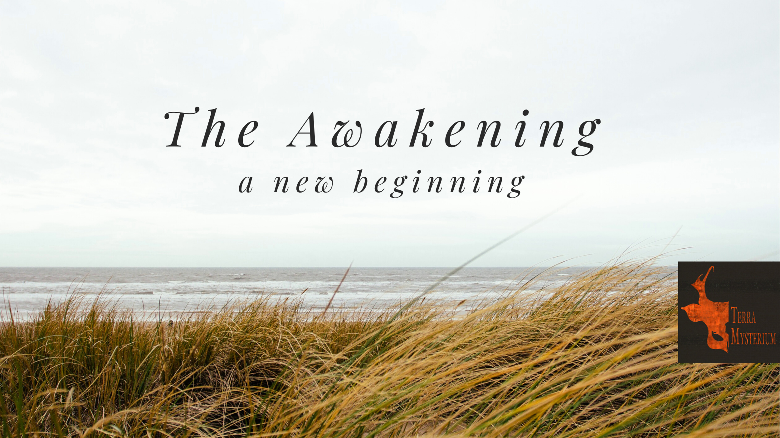 Copy of Breathe Facebook Cover.png