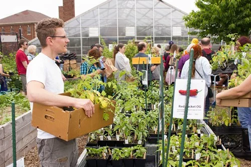 Annual Kilbourn Park Plant Sale
