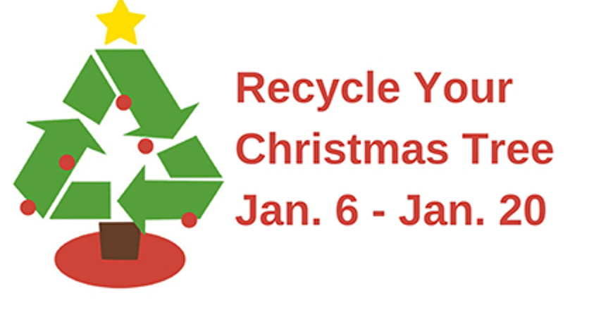 RECYCLE YOUR CHRISTMAS TREE