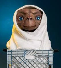 ET: Movies in the Parks