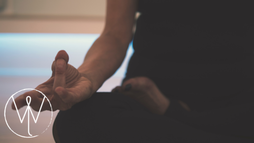 Vinyasa + Live Music with Wildlight Yoga