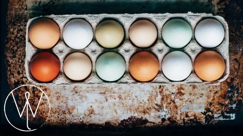 Yoga at Independence Park Farmers Market