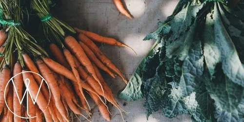 Yoga at the Jeff Park Sunday Market