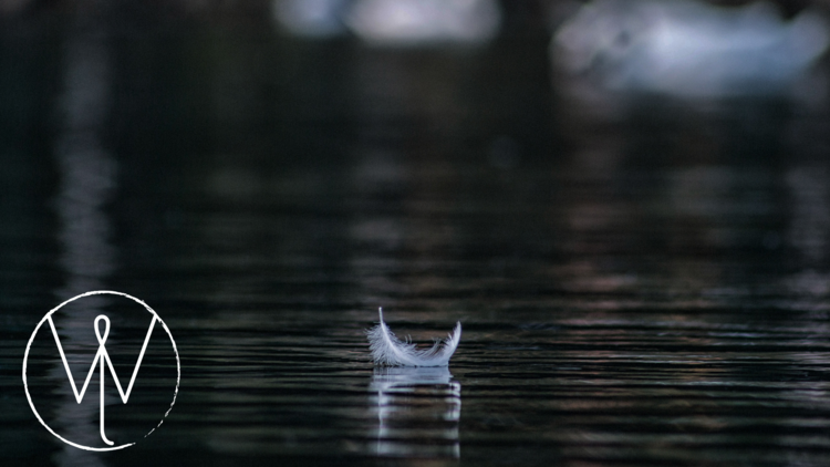 Biodynamic Breathwork + Movement