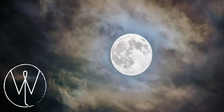 Howl: Yin Yoga for the Full Wolf Moon