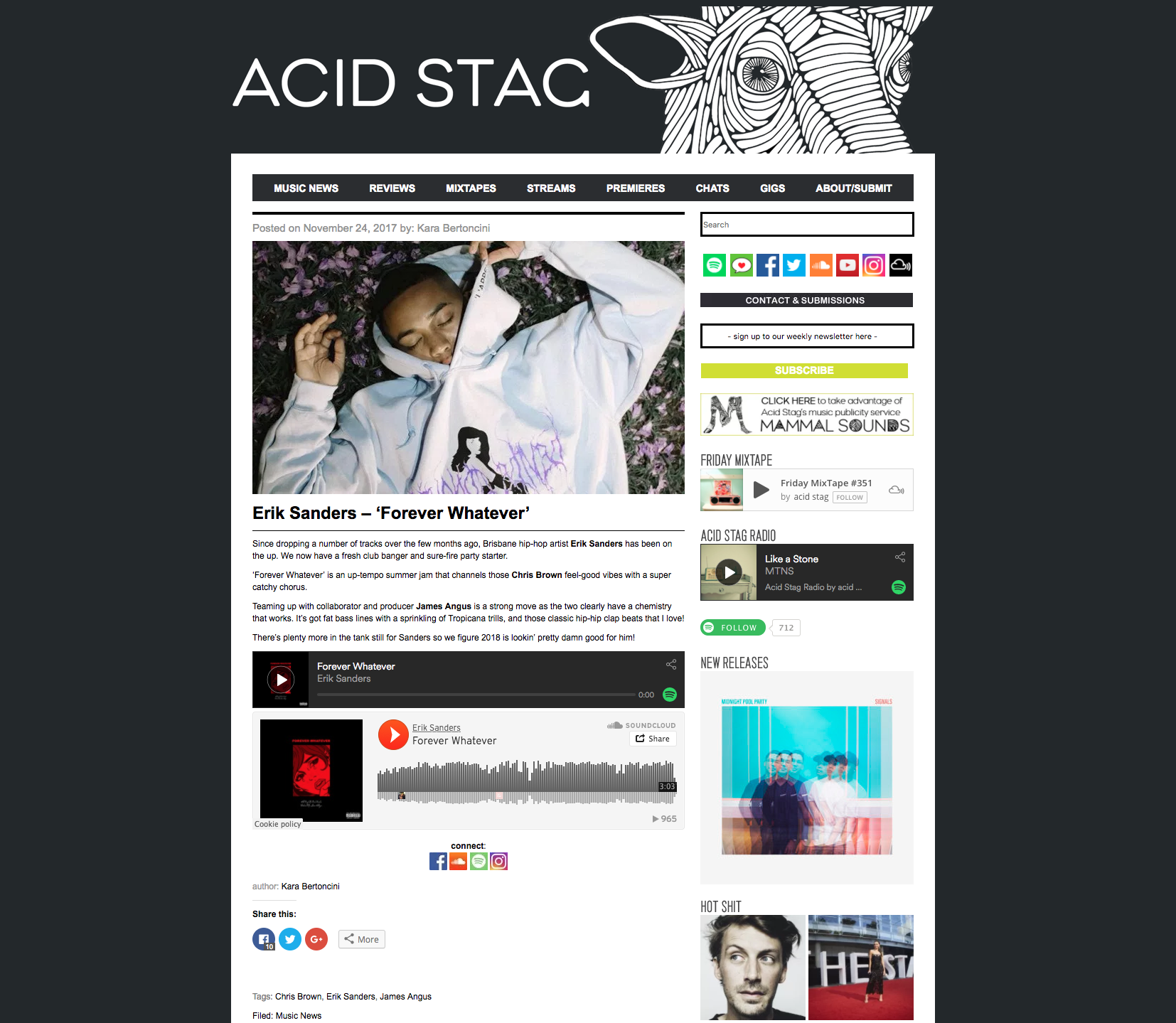 ACID STAG.png