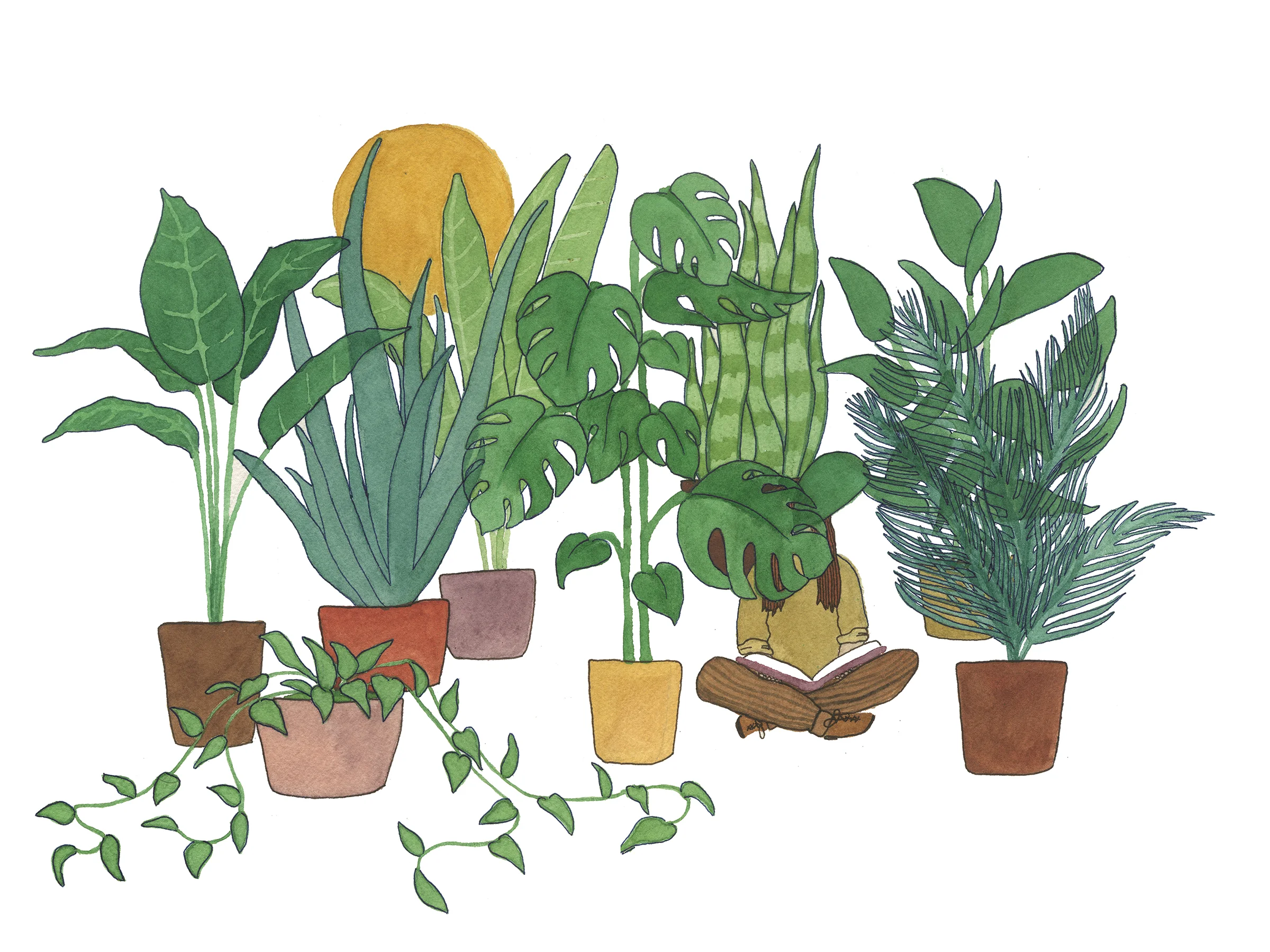 plantgarden readalone ig.jpg