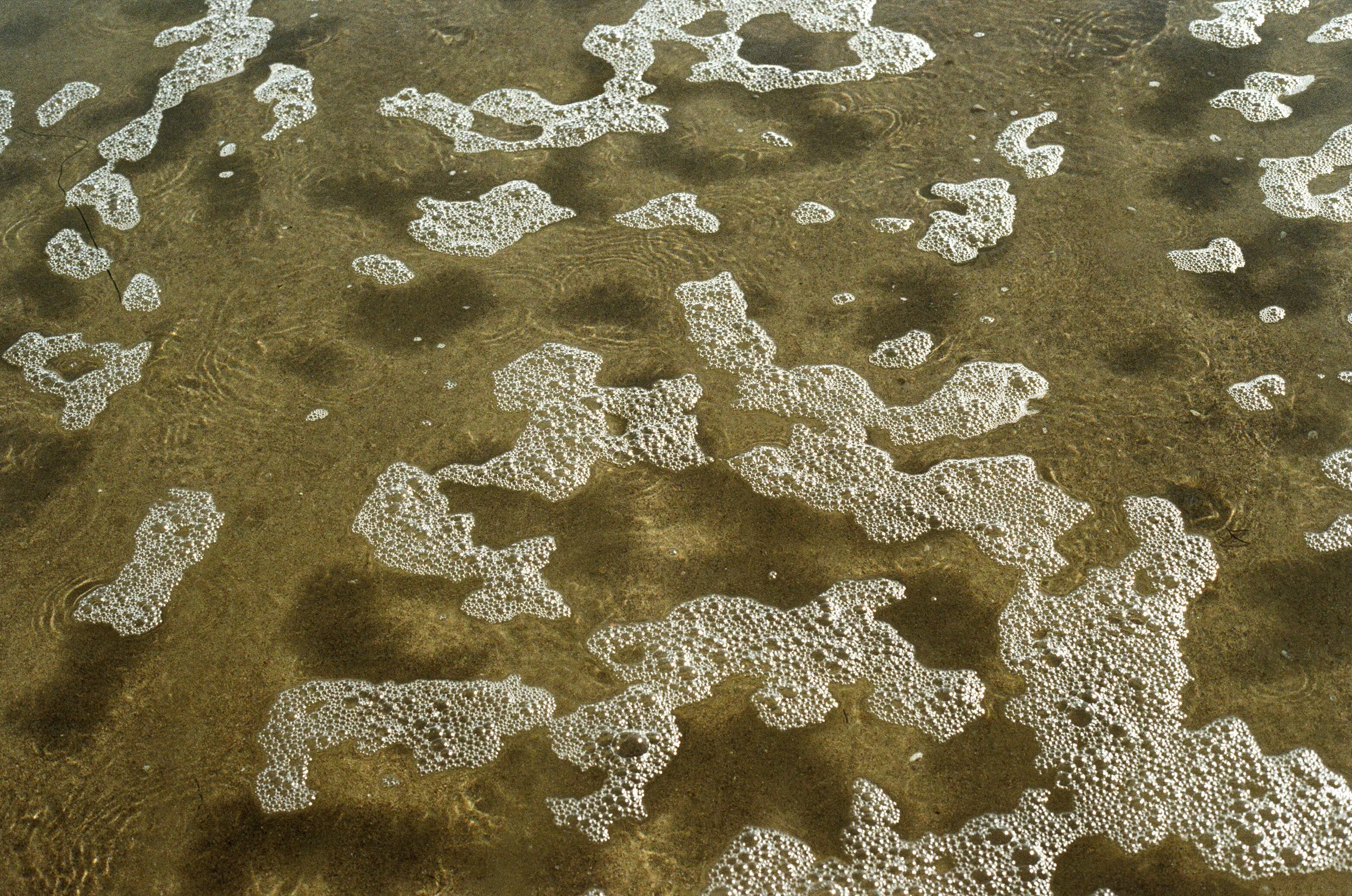 000011970006.jpg