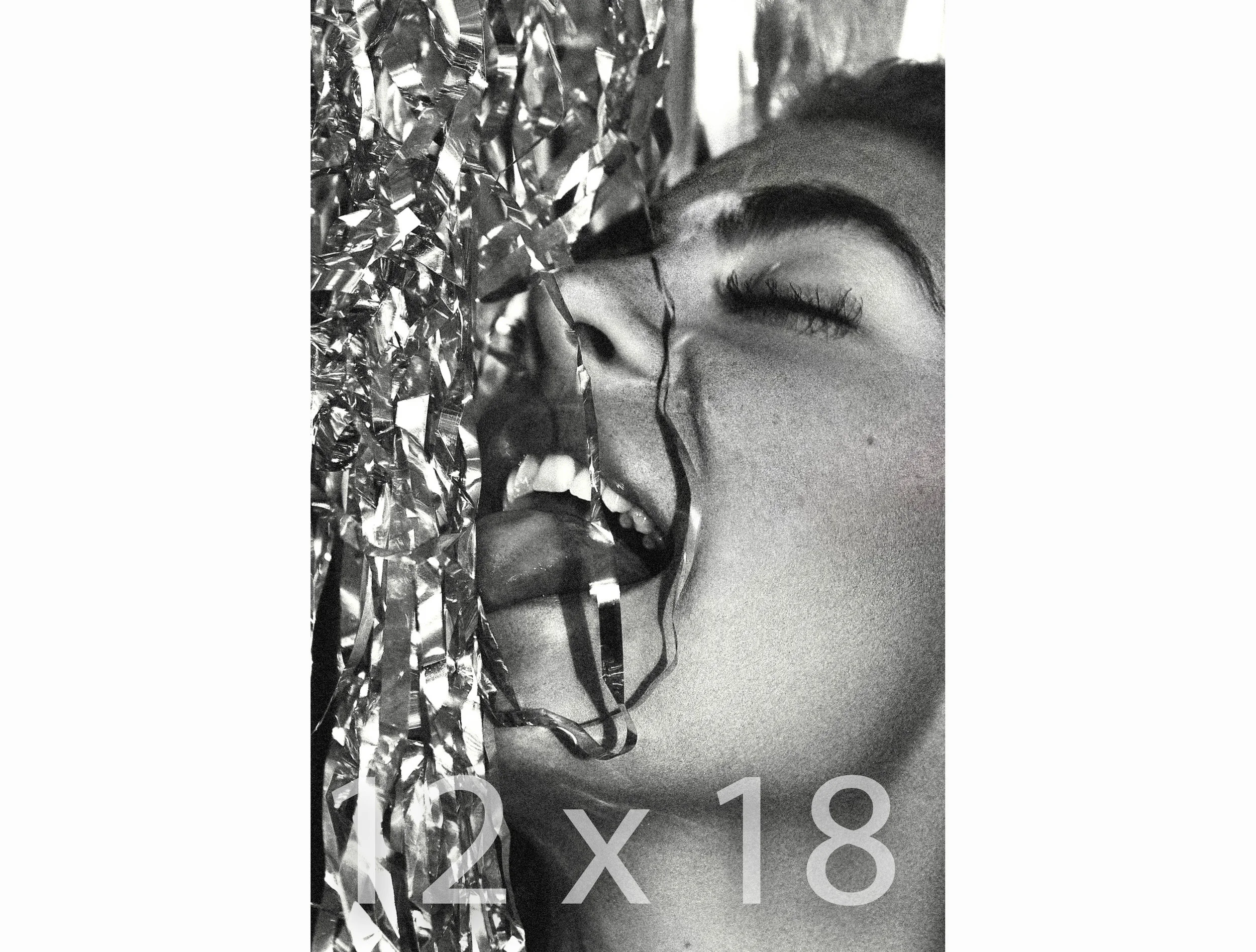 12 x 18 copy.jpg
