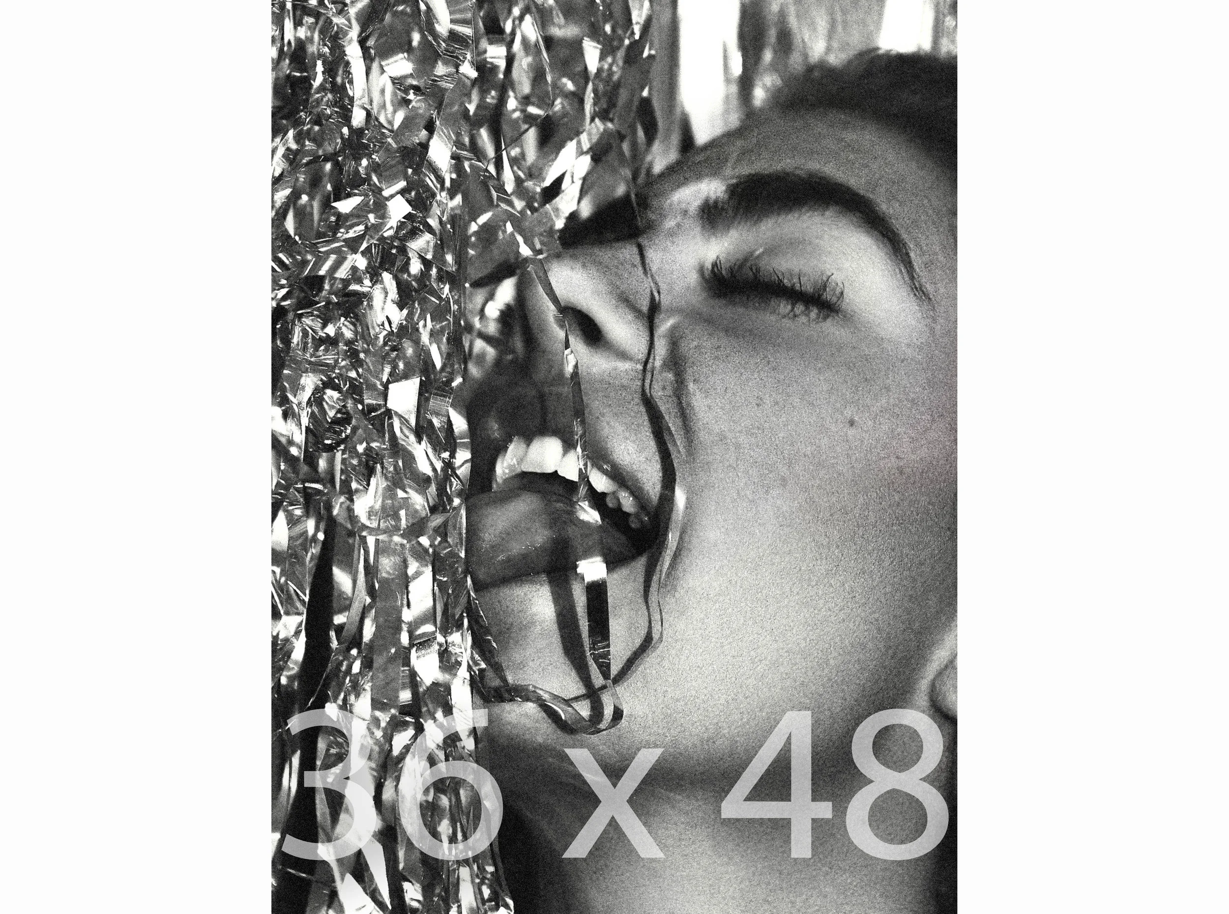 36 x 48.jpg