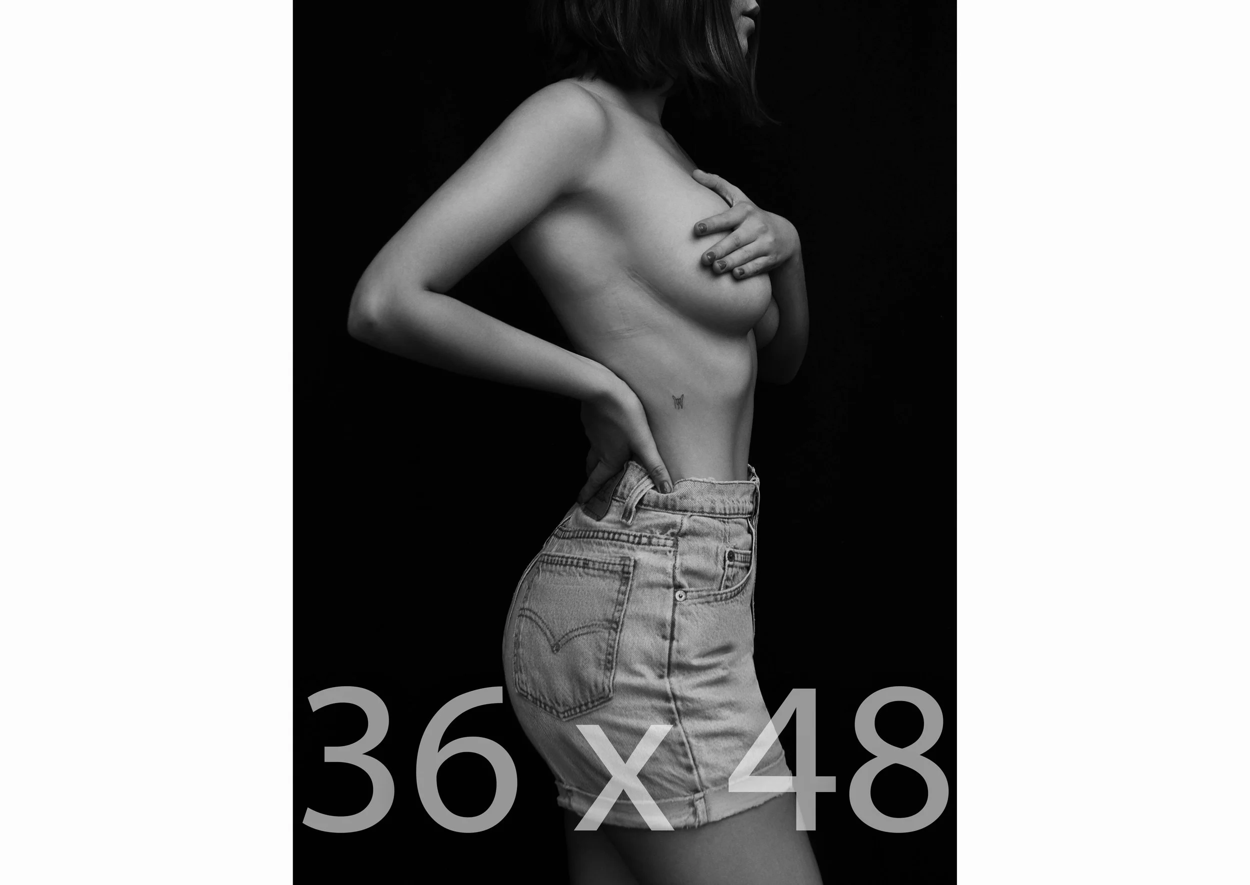 36 x 48.jpg