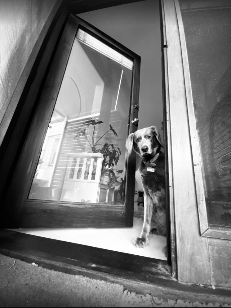 Do You Hate Packing? 