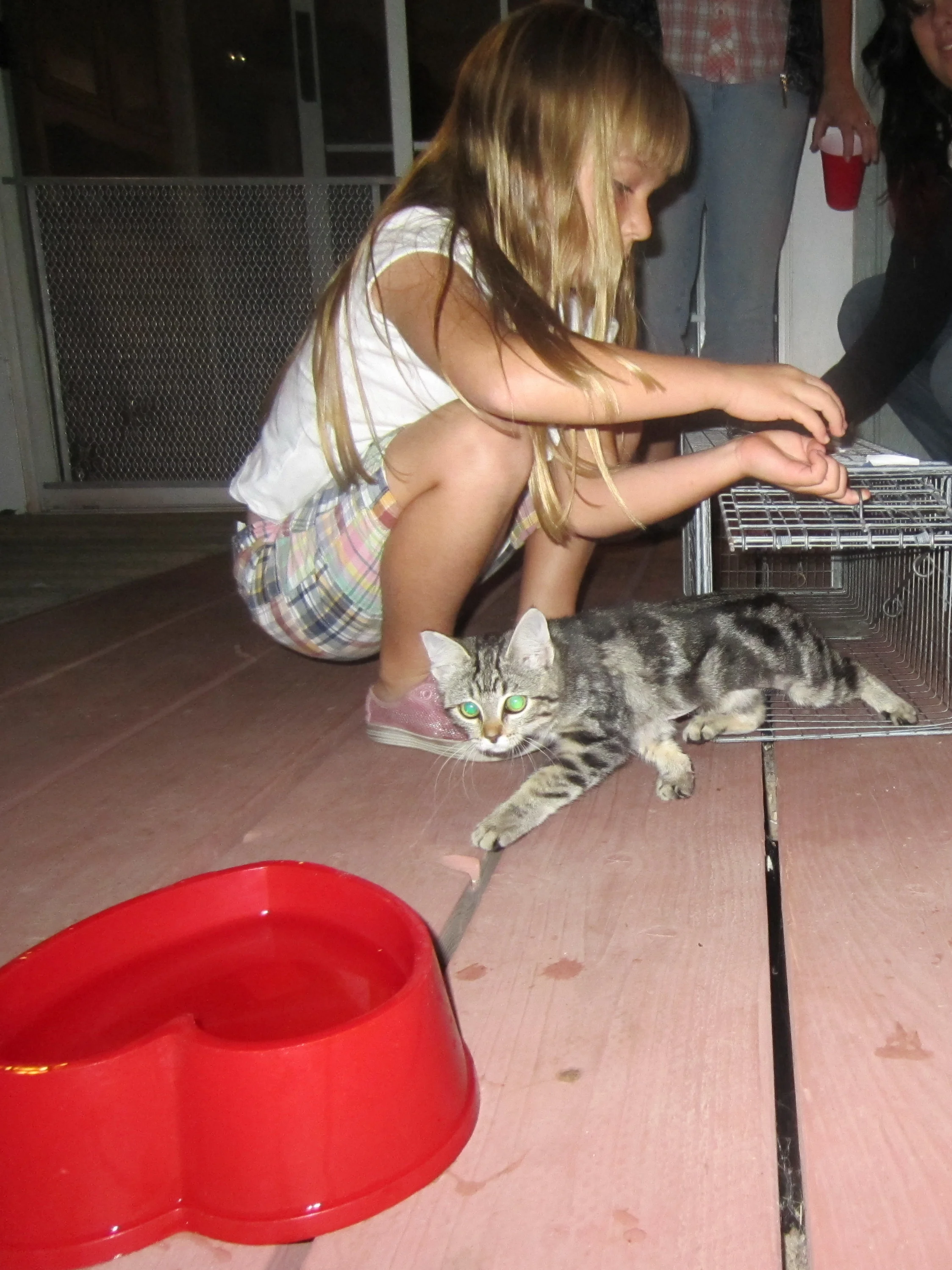 Letting your children learn responsibility and experience saving animals through spaying and neutering will be far more valuable to them than a litter of kittens.