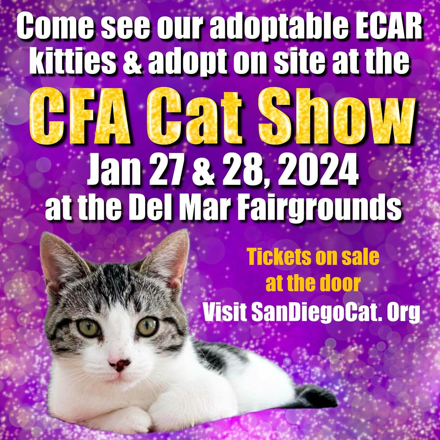 Come see our adoptable ECAR kitties &amp; support a wonderful non-profit, San Diego Cat Fanciers Inc. Kitties will be available for adoption same day. Save time by filling out an Adoption Application online by visiting our link tree &amp; clicking Ad
