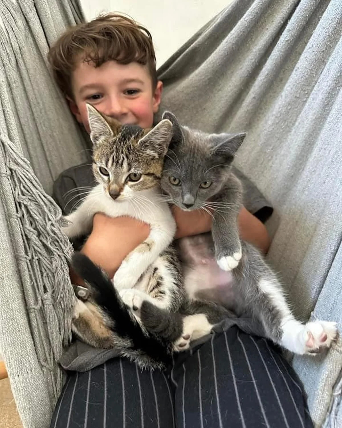Fosters come in all ages, and our young foster helpers are a key part of our cats &amp; kittens adoption journey! Meet some of our most adorable foster helpers and learn about how they make a difference.
All the cuddling they have to offer helps rais