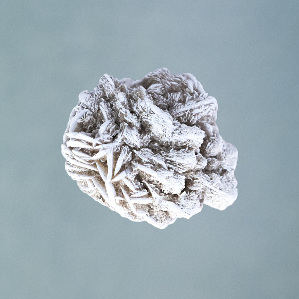 Desert Rose