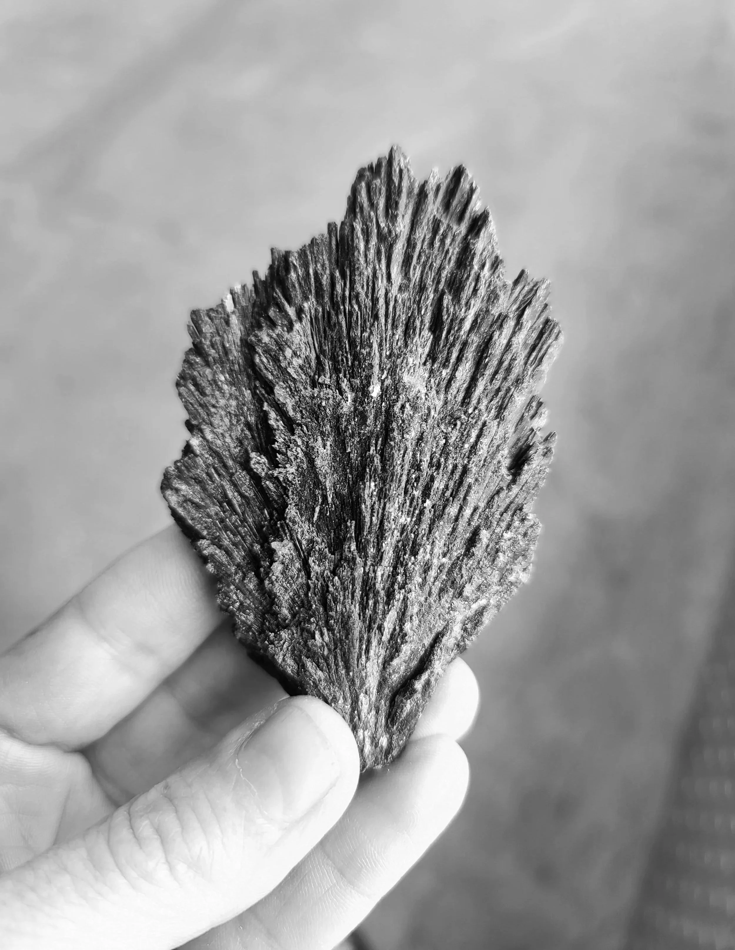 Black Kyanite