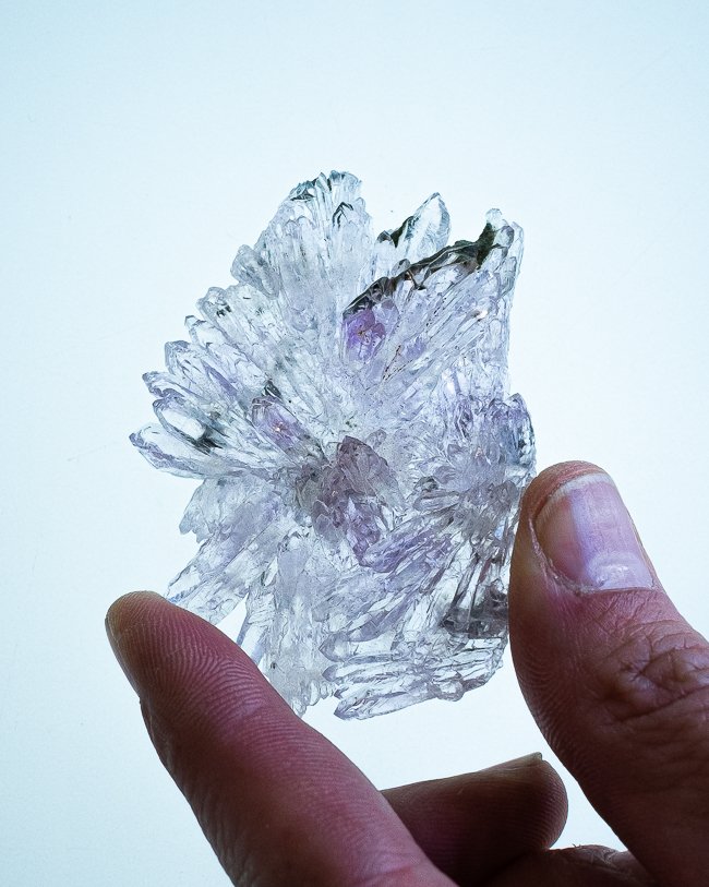Amethyst Blossom