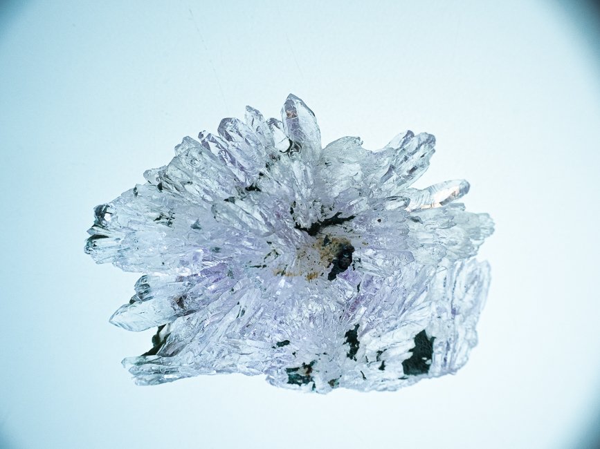_DSF1574-2.jpg