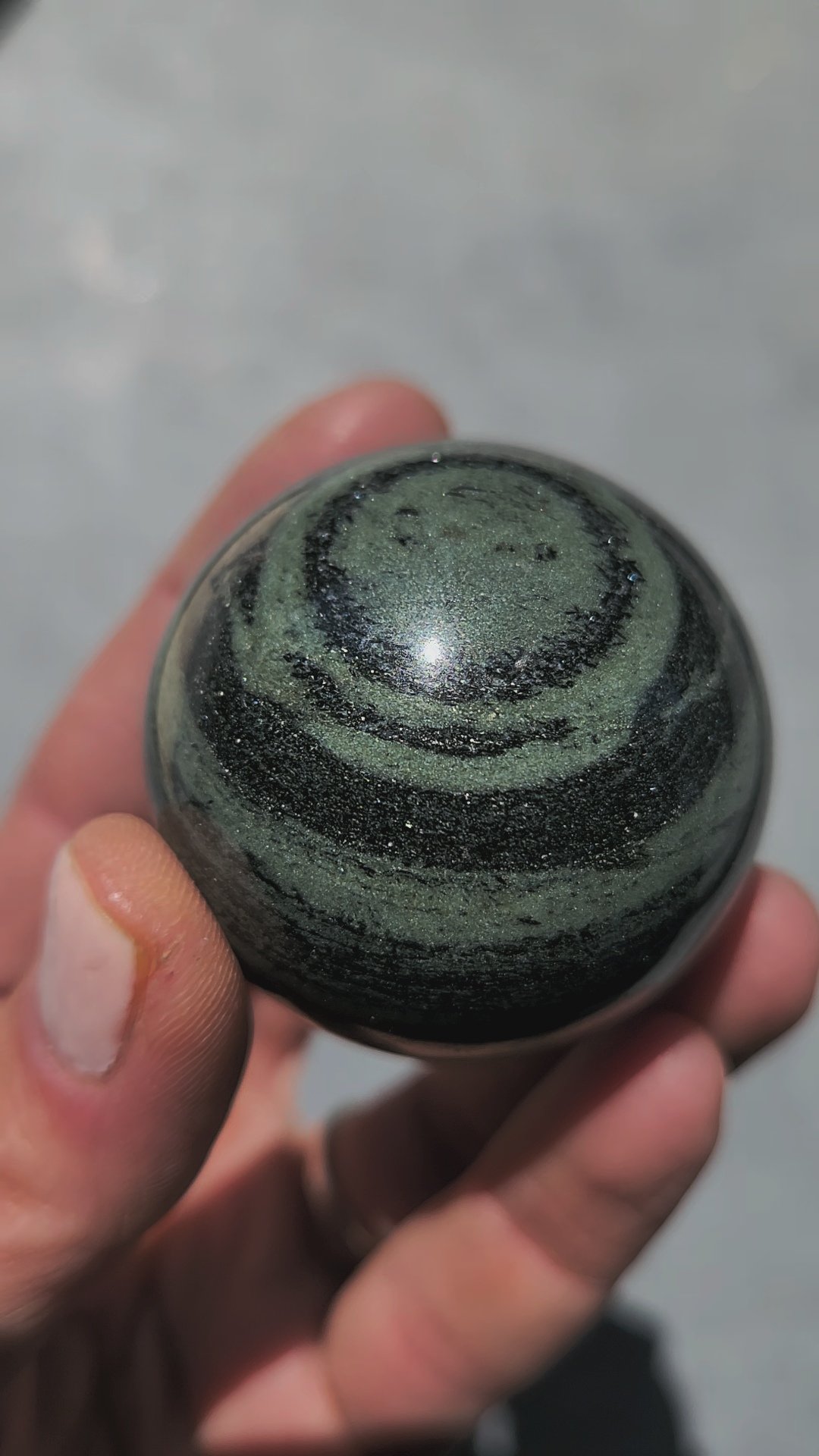 Zebra Jasper