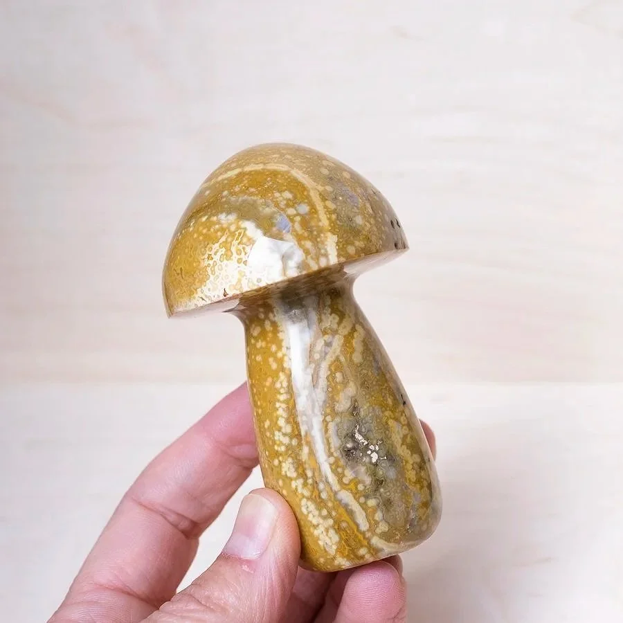 Sea Jasper Mushrooms