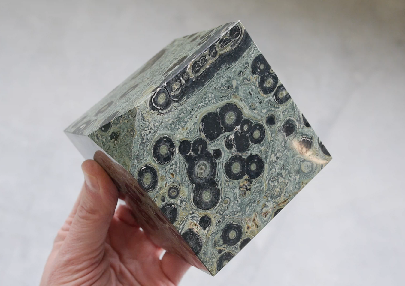 Screen Shot 2024-04-16 at 7.38.06 PM.png