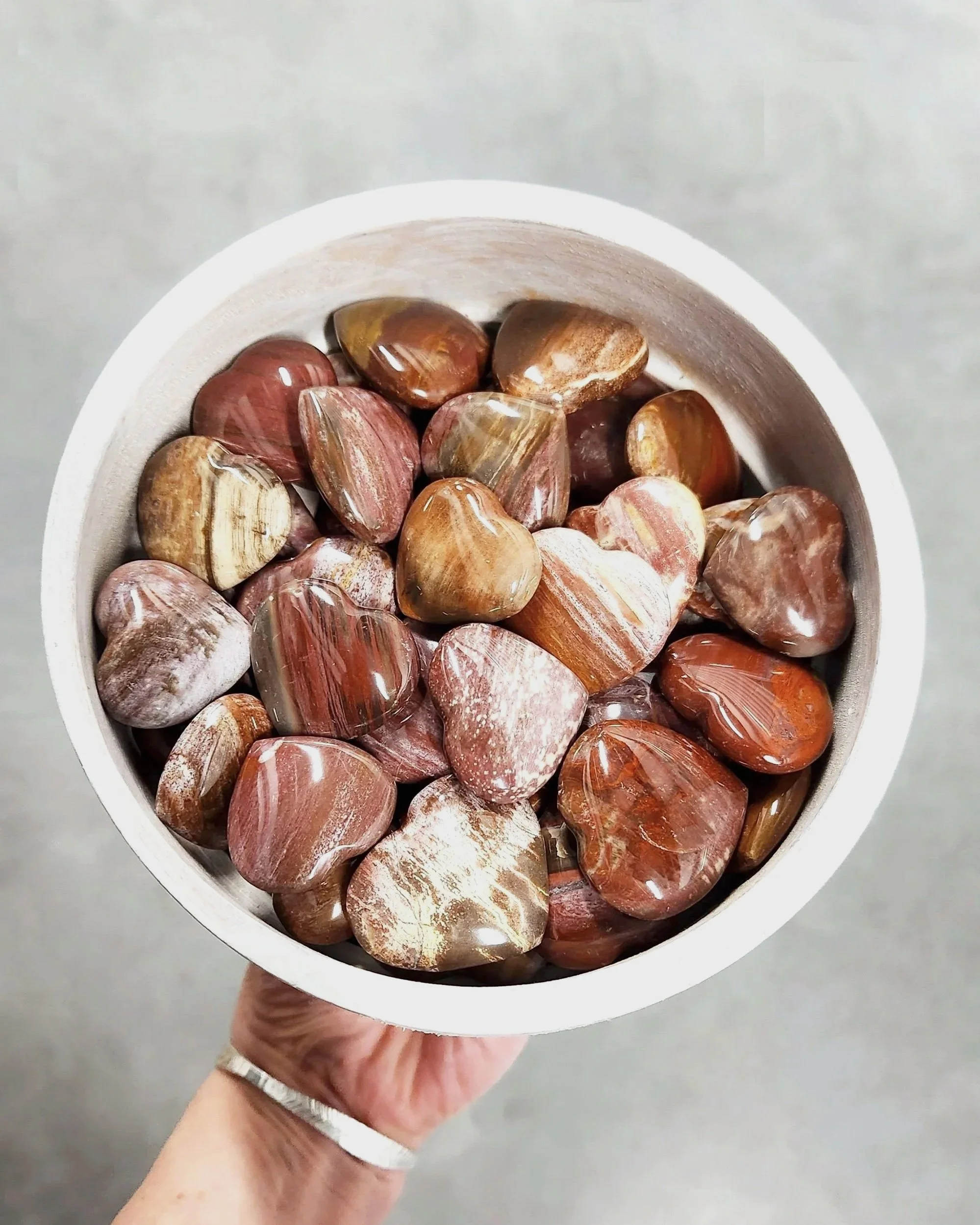 Petrified Wood Hearts