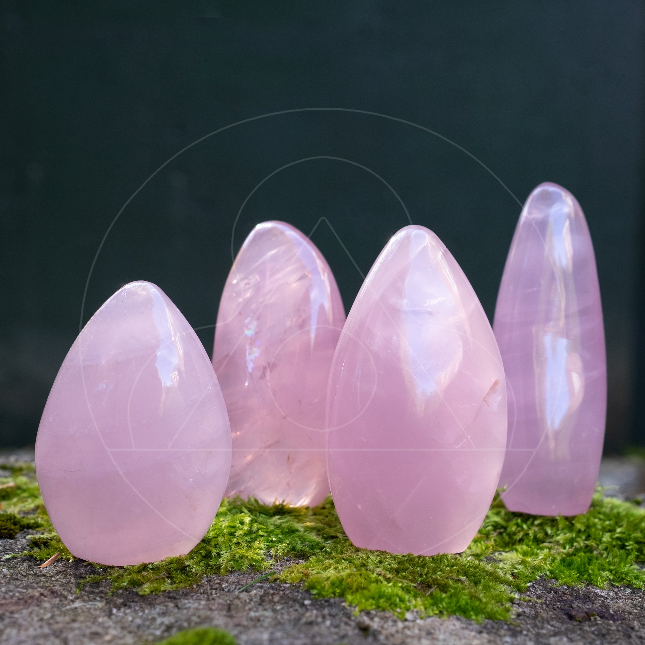 RoseQuartz_Freeform-grp-wm_DSF9288.jpg