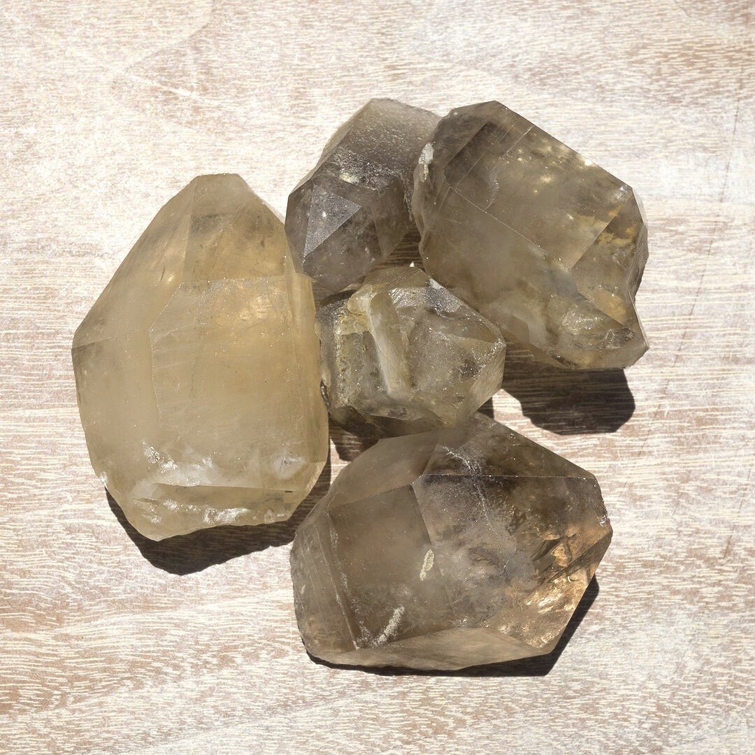 _1070023.jpg
