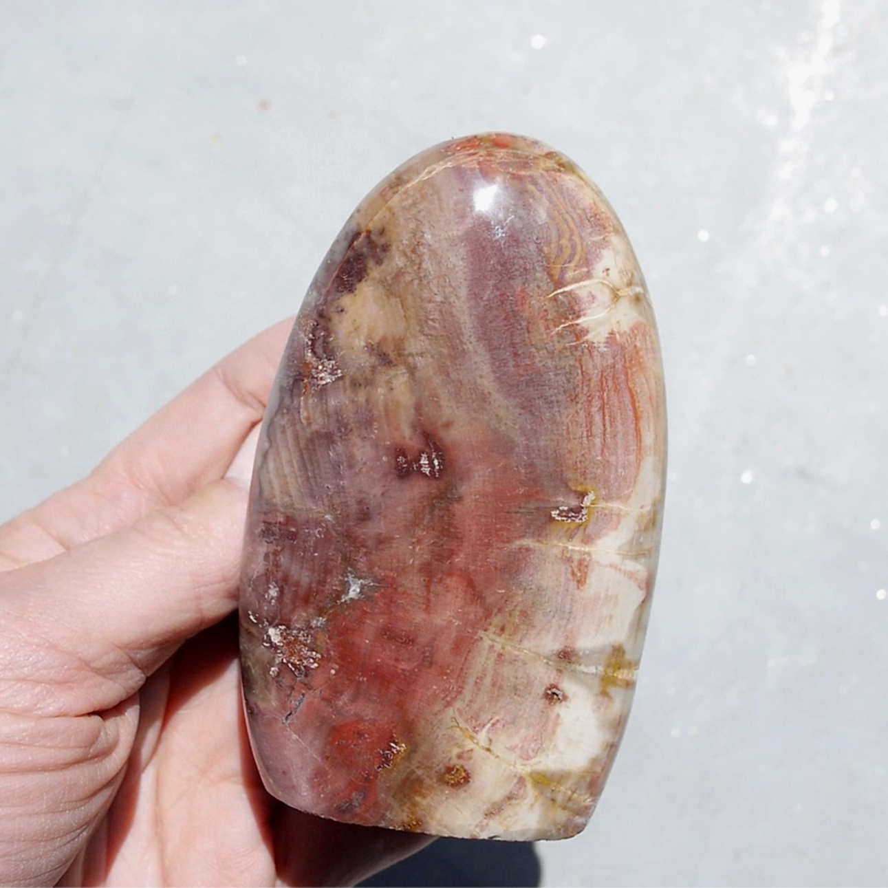 Petrified Wood Freeforms
