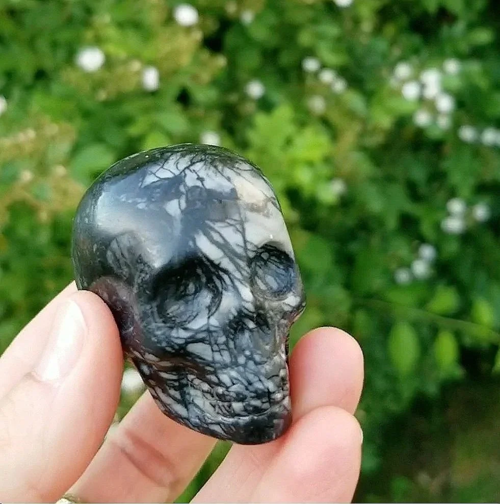 Crystal Skulls