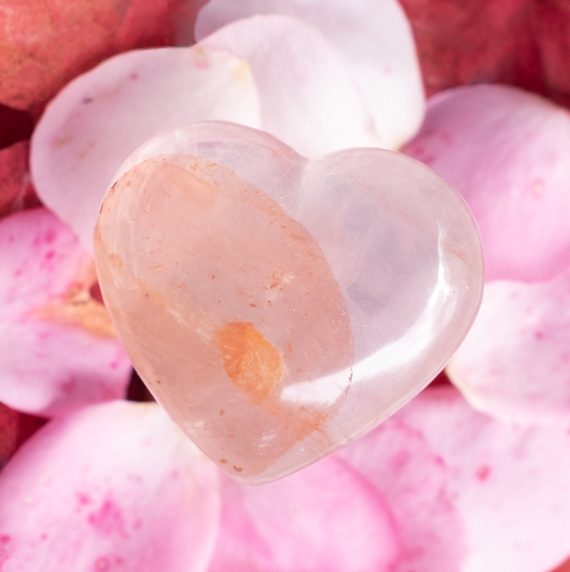 Screenshot 2025-11-21 at 2.45.44 AM.png