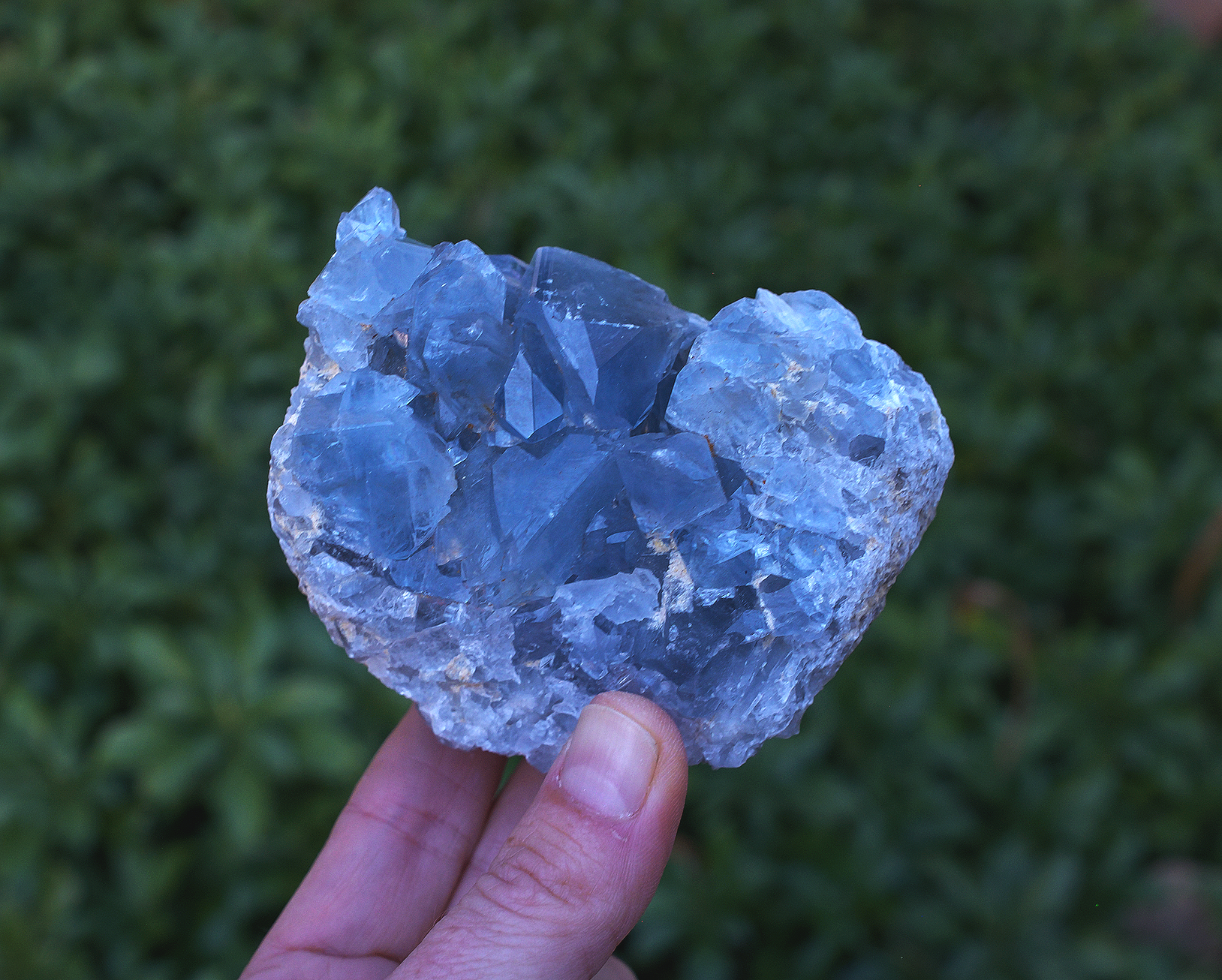Celestite