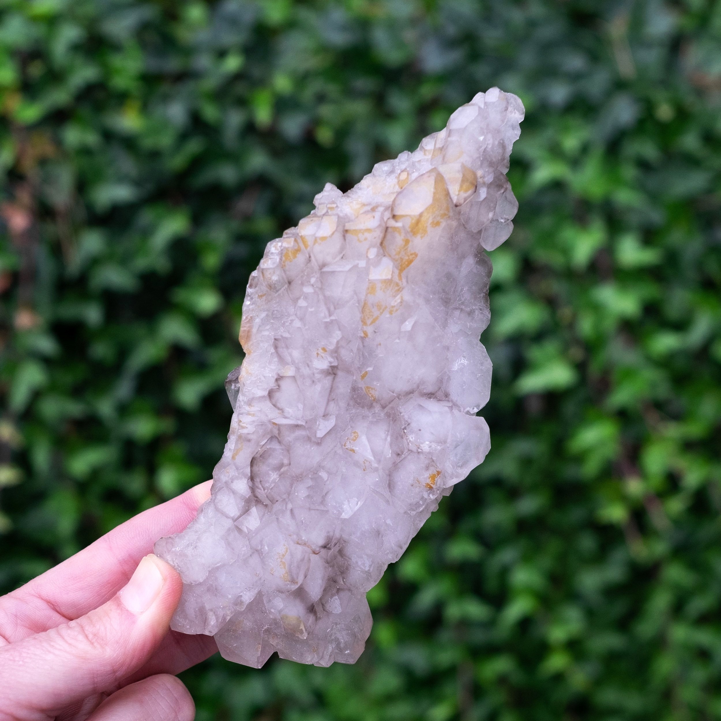 Smoky_Elestial_Parallel_Quartz_DSF9726.jpg