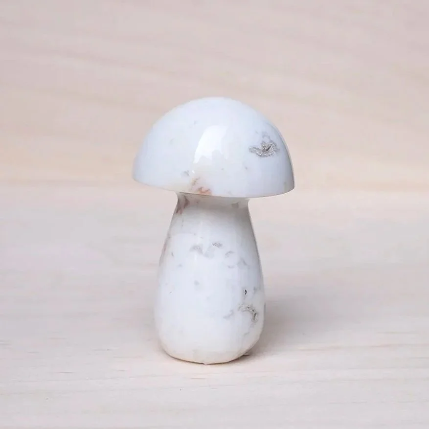 Sea Jasper Mushrooms