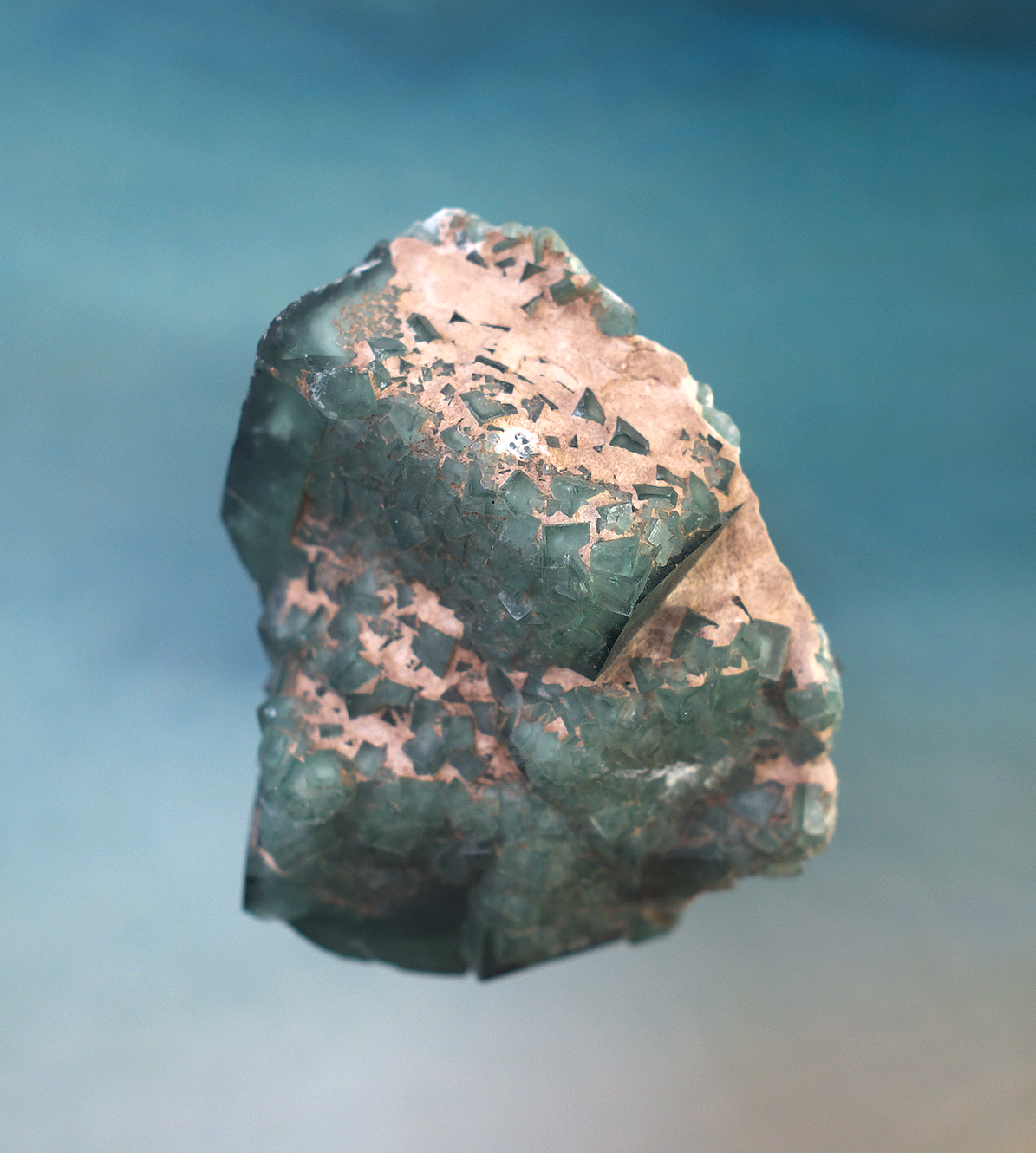 Screenshot+2025-11-20+at+9.53.47%E2%80%AFPM.png (Copy)