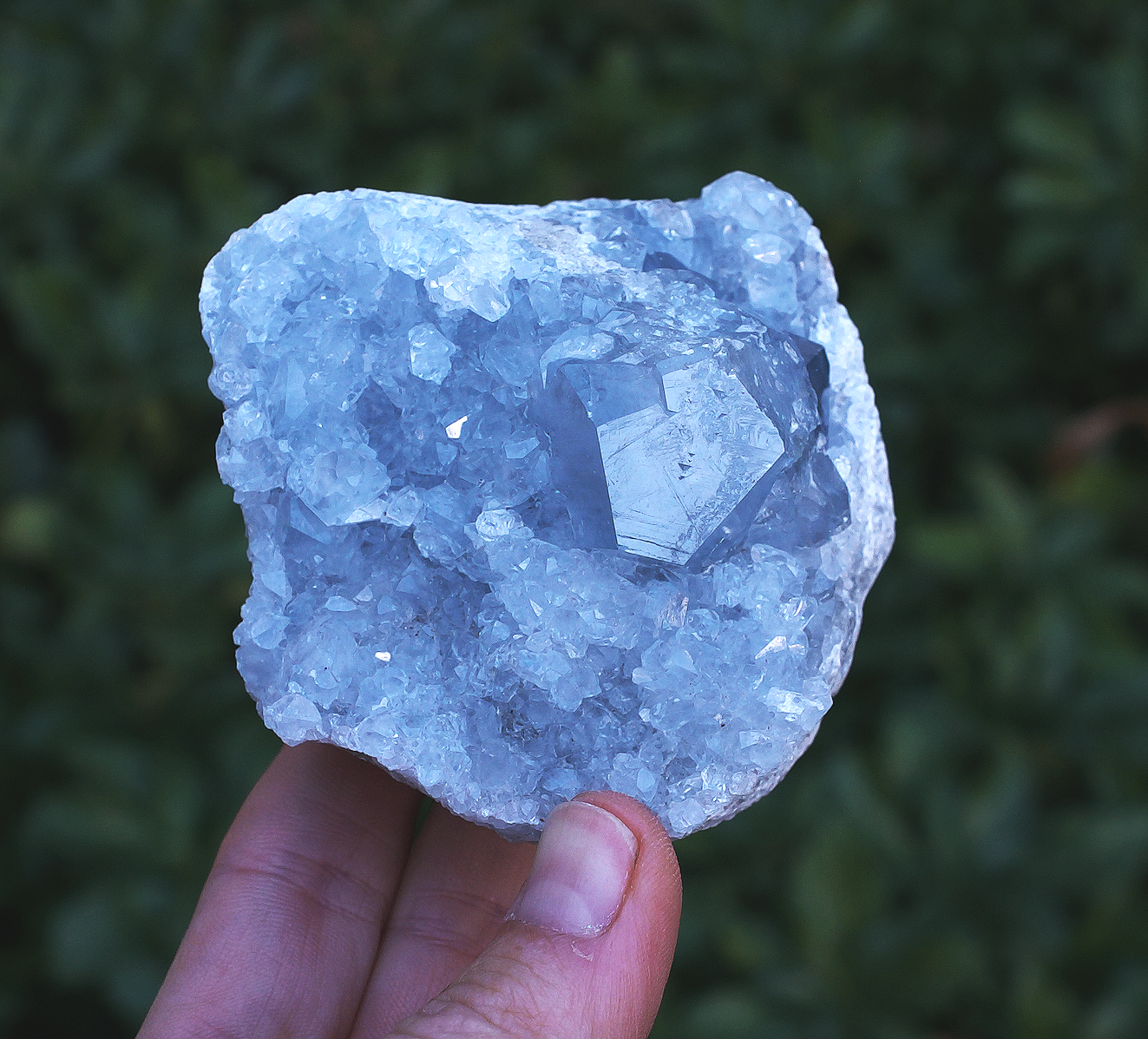 Celestite