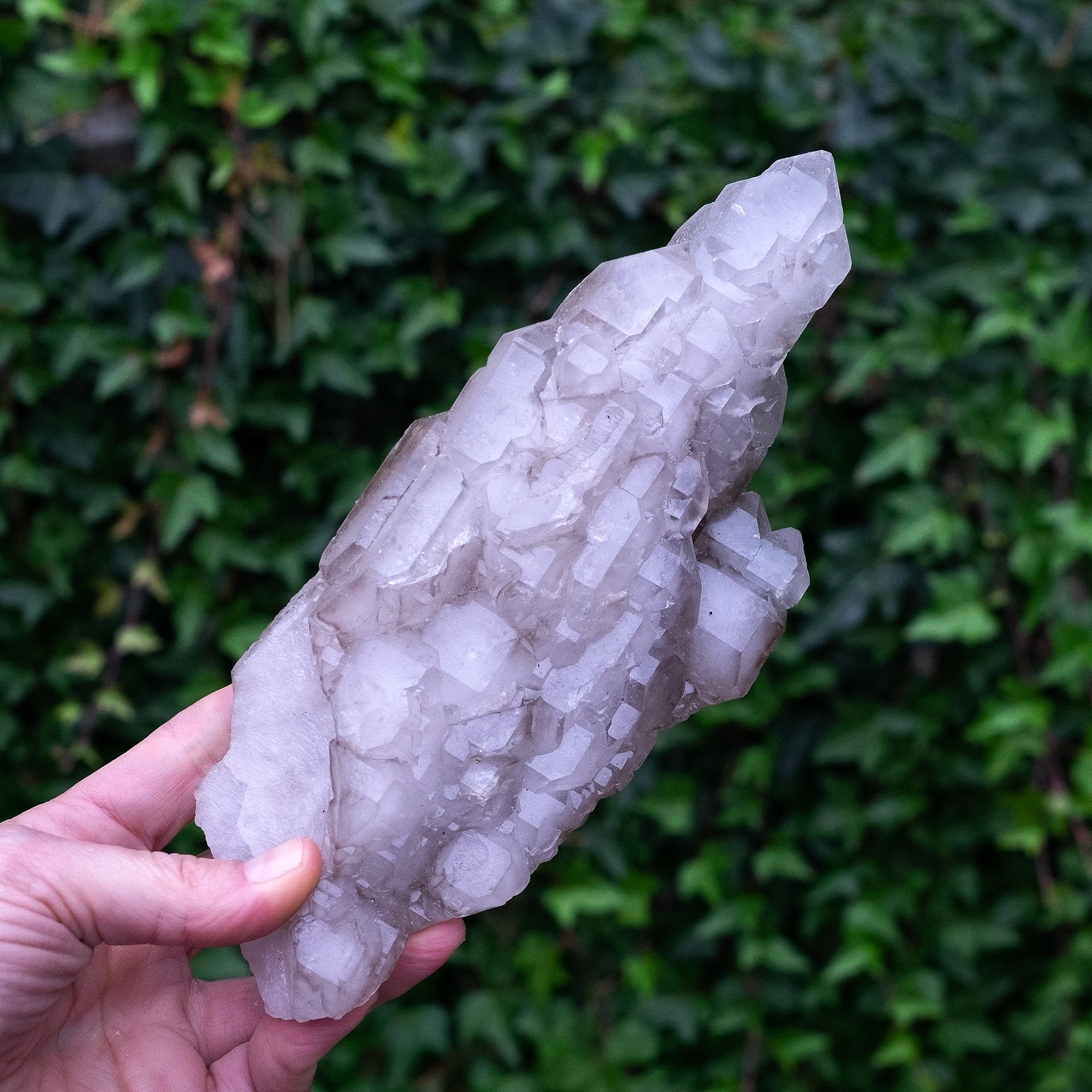 Smoky_Elestial_Parallel_Quartz_DSF9733.jpg